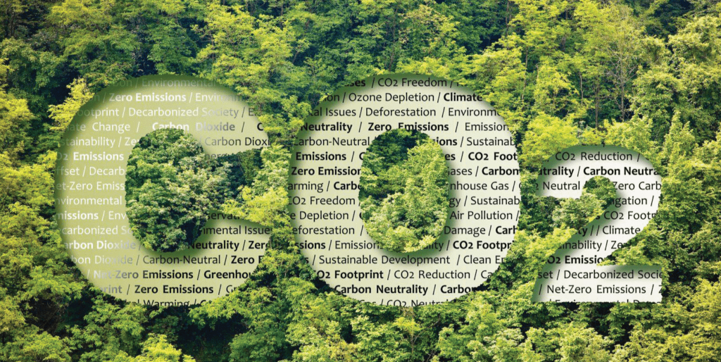 Plasma Technologies for Net Zero Emission Pathways