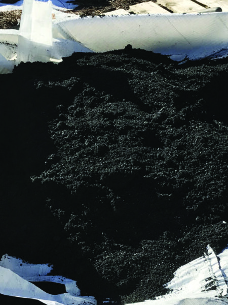Transforming Agri Waste & Limiting Carbon Emissions
